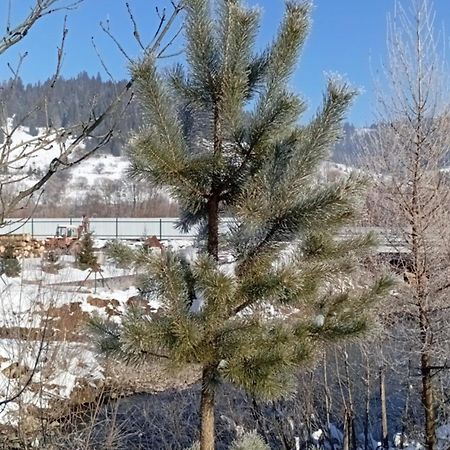 Затишний Будиночок Bukovets 外观 照片