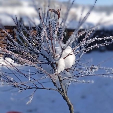 Затишний Будиночок Bukovets 外观 照片