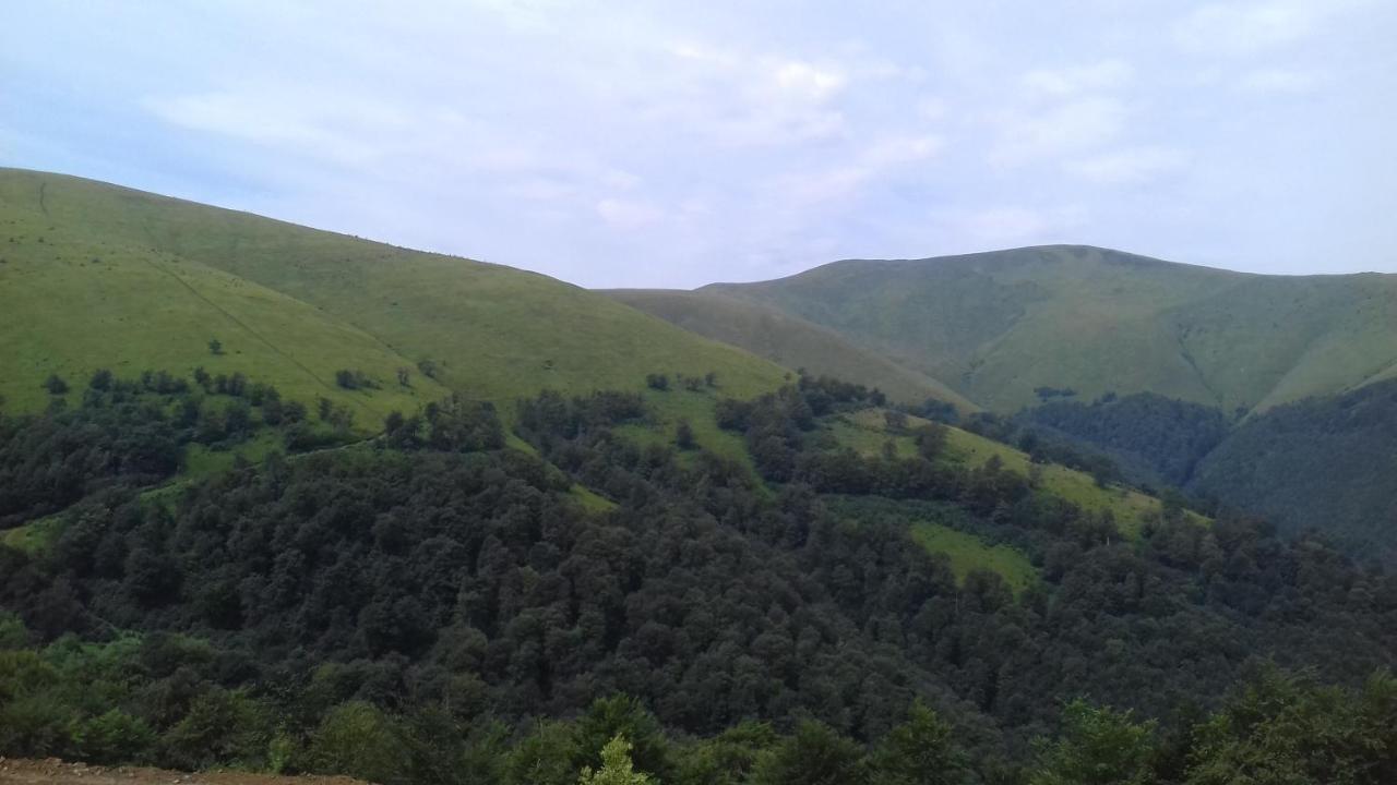 Затишний Будиночок Bukovets 外观 照片