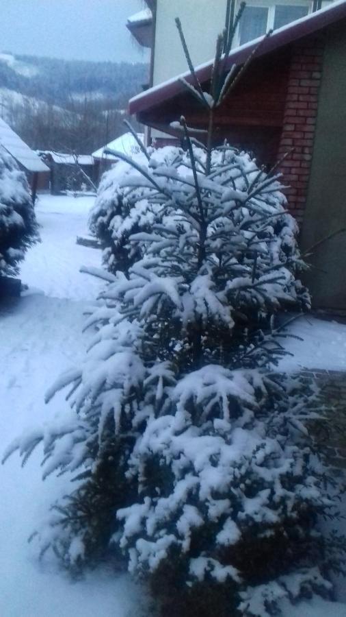 Затишний Будиночок Bukovets 外观 照片