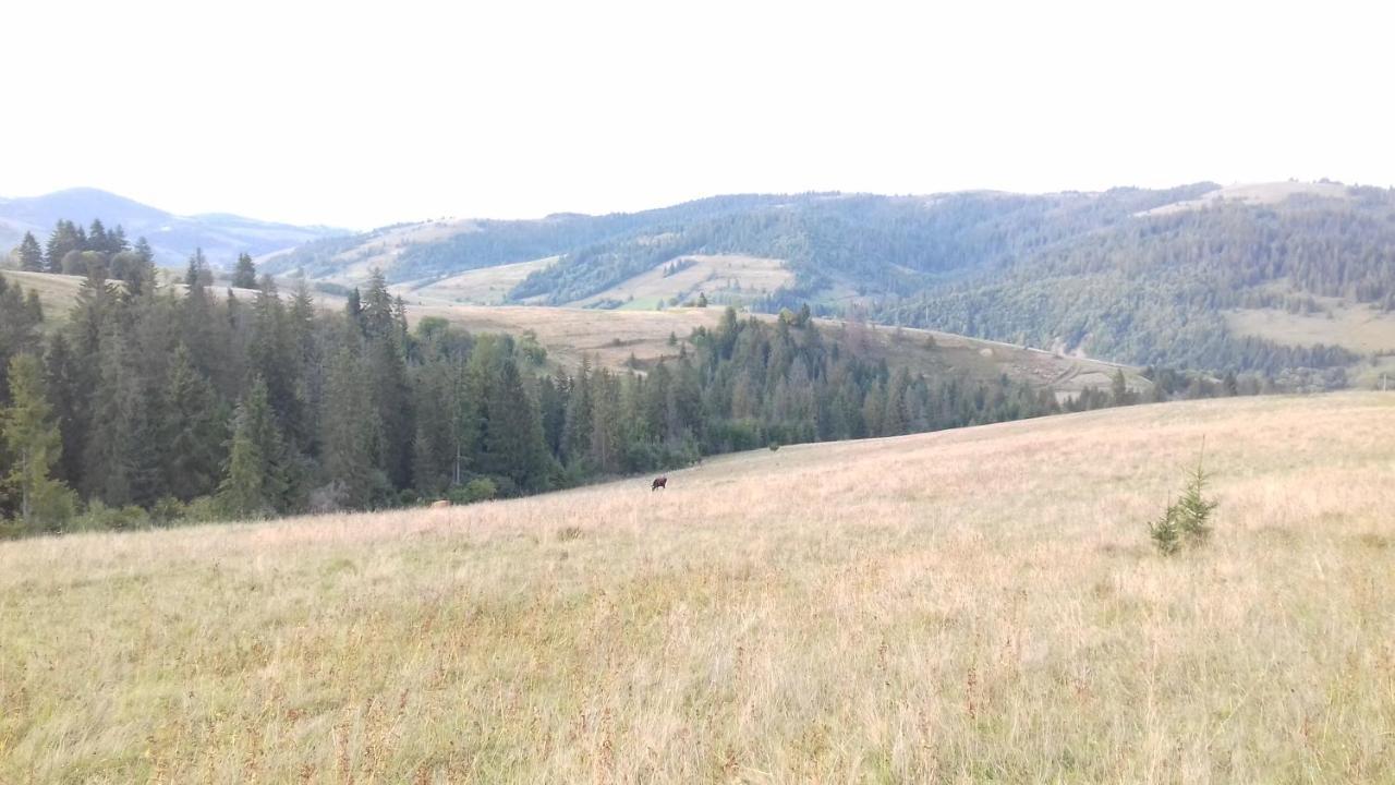 Затишний Будиночок Bukovets 外观 照片